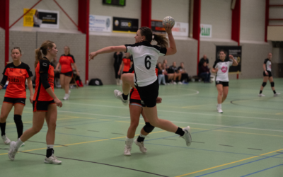 Feestje na laatste wedstrijden